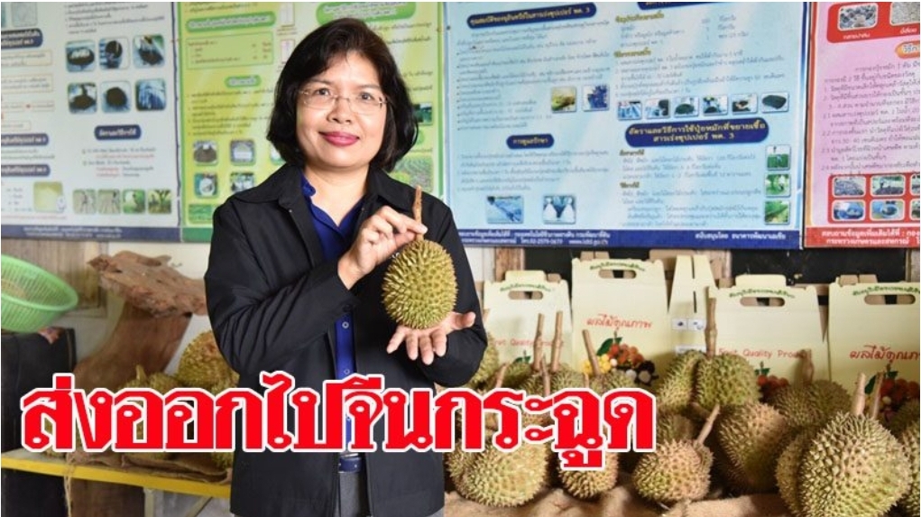 ทุเรียนไม่สนโควิด-19 ส่งออกไปจีน 4 เดือนแรกพุ่ง 78% ไทยยังเป็นแชมป์โลก