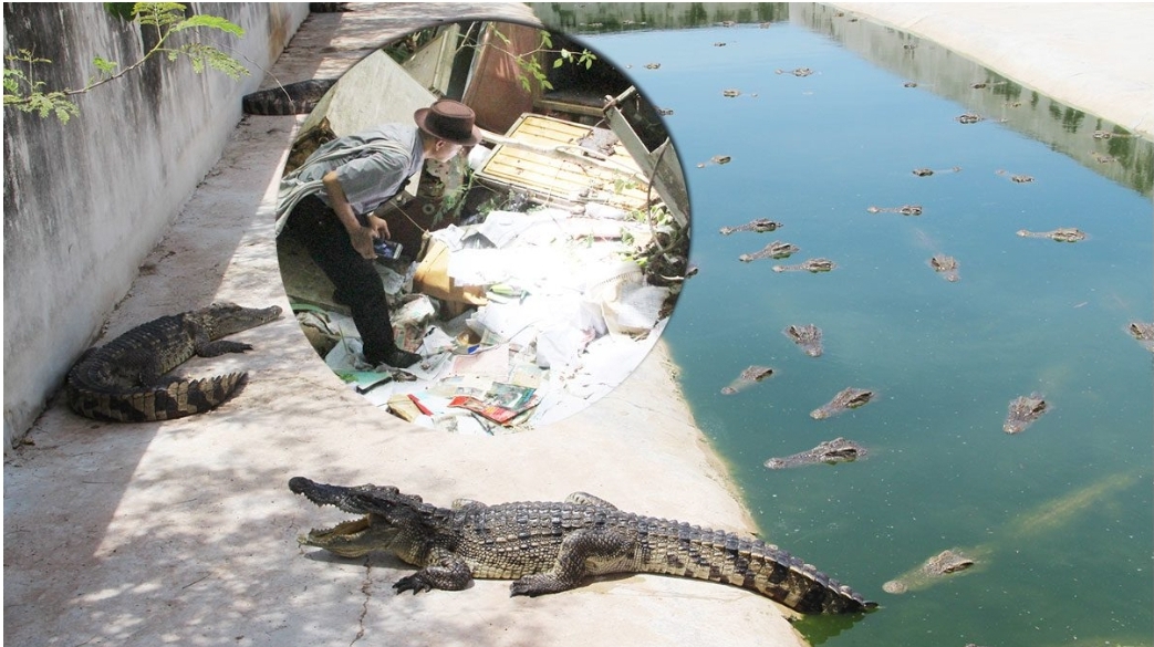 บุกค้นไร่‘ทวี ไกรคุปต์’ พบบ่อจระเข้นับพันตัว ผงะเอกสารที่ดินทิ้งเกลื่อน