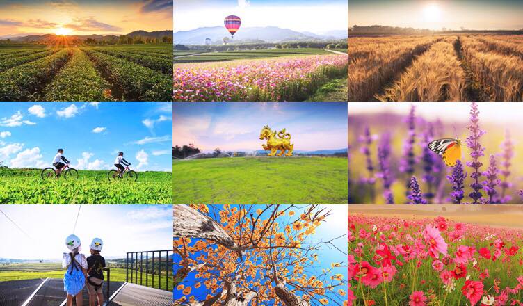 Singha Park Chiang Rai Tour (Boon Rawd Farm)