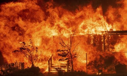 เพลิงไหม้แคลิฟอร์เนีย 367 จุด เสียชีวิตในกองเพลิง 23 คน
