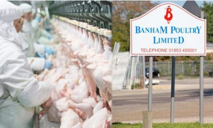 คลัสเตอร์ “โรงงานไก่” แดนผู้ดี ติดเชื้ออีกพุ่ง 100 คน สั่งแยกกักตัว 350 คน