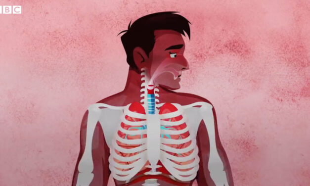 Coronavirus ไวรัสโคโรนาสายพันธุ์ใหม่ส่งผลต่อร่างกายคนเราแตกต่างกันอย่างไร