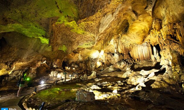 จีนพยายามตามล่าหาต้นกำเนิดของไวรัสโคโรนาที่ซ่อนอยู่ รวมที่ถ้ำค้างคาว อ.ไทรโยก จ.กาญจนบุรี