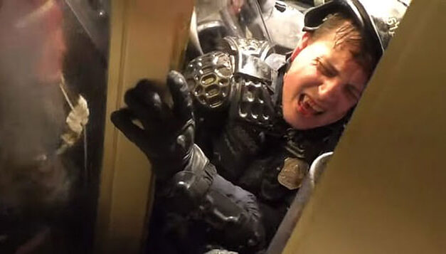 หากมีการพิสูจน์ว่าการบุกรุกได้รับการไตร่ตรองไว้ล่วงหน้าแทนที่จะเกิดขึ้นเองอาจเป็นข้อหาทางอาญาที่ผู้ก่อการร้ายในประเทศกำลังเผชิญอยู่