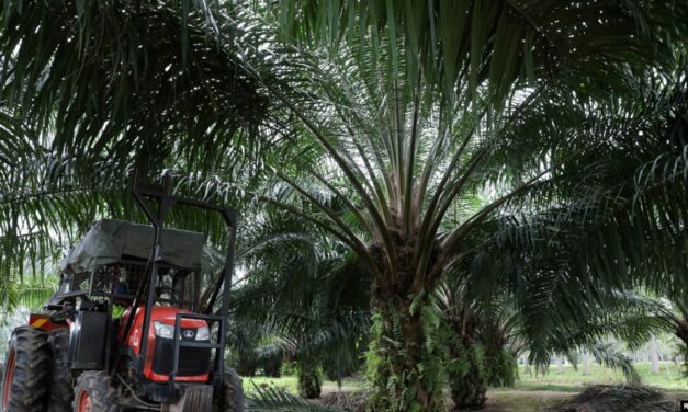 สหรัฐฯ สั่งห้ามนำเข้าน้ำมันปาล์มจากบริษัทมาเลเซีย กรณีบังคับใช้แรงงาน