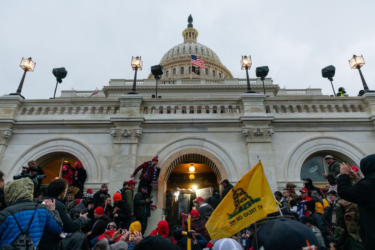 ผู้ก่อการจลาจลของรัฐสภารวมถึงอดีตทหารและตำรวจที่ได้รับการฝึกฝนมาเป็นอย่างดี