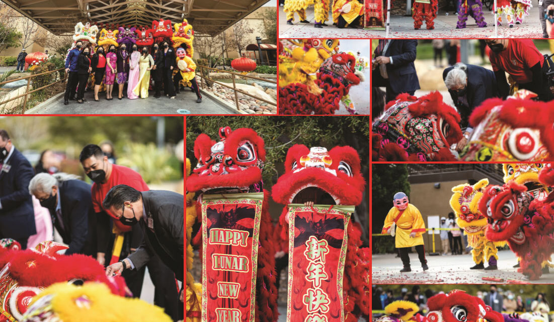 Chinese Lunar New Year 2021 Lion Dance