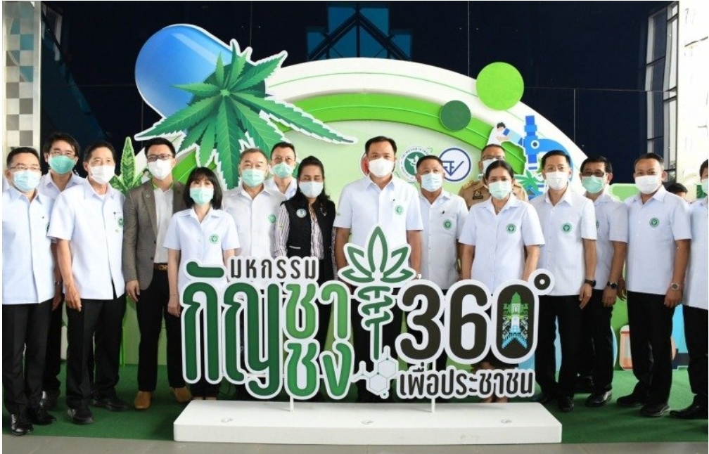 สธ.ปลดล็อก ปลูกกัญชาถูกกฎหมาย บ้านละ 6 ต้นได้จริง ห้ามใช้เสพ ผิด กม. จัดมหกรรมติวเข้มสร้างอาชีพ