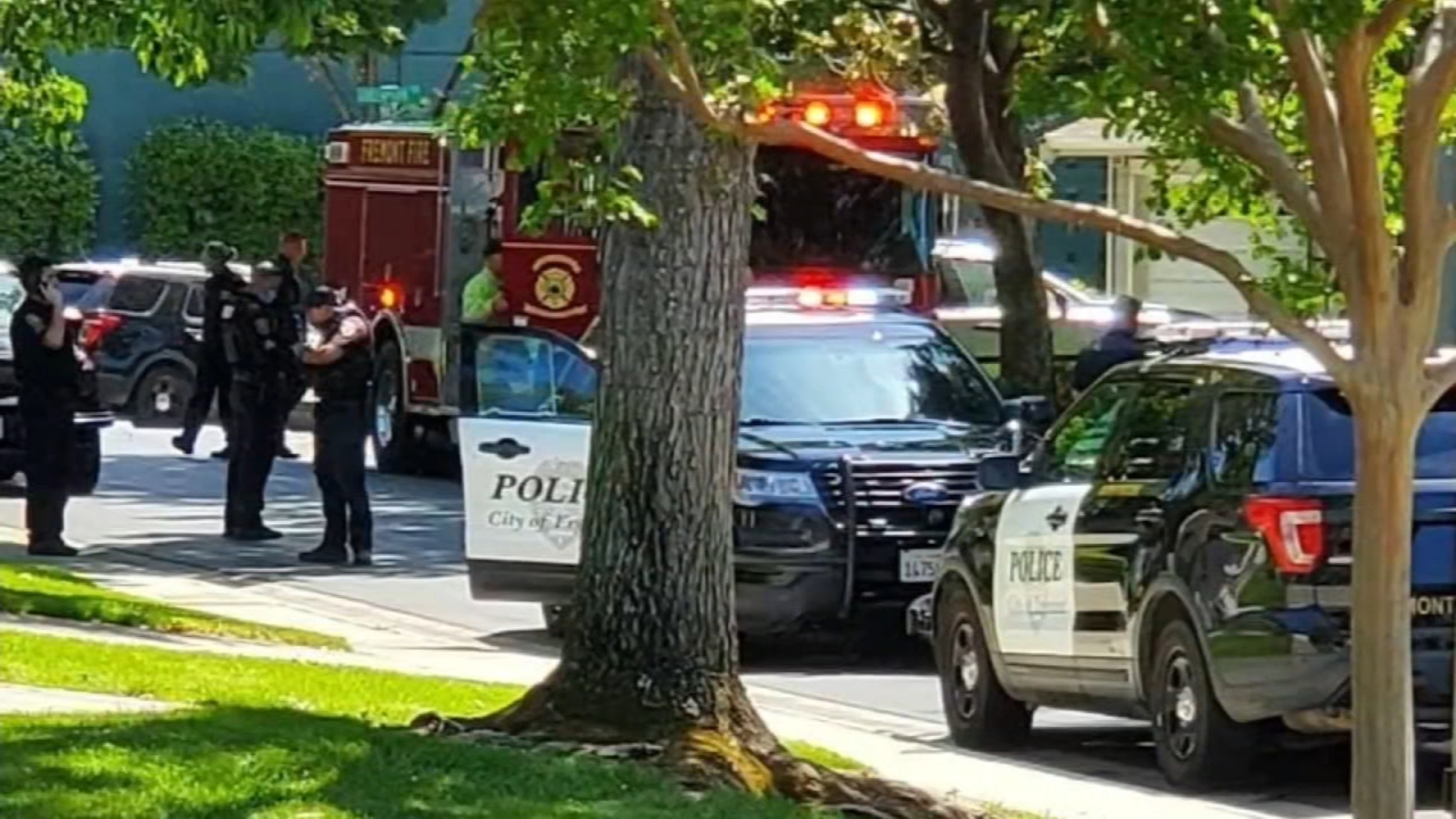 ตำรวจมาทันเวลายุติการล่วงละเมิดทางเพศหญิงวัย 67 ปี ‘กลางวันแสกๆ’ ในสนามหญ้าหน้าบ้านของซานฟรานซิสโกเบย์แอเรีย