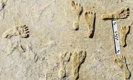 พบฟอสซิล ‘รอยเท้ามนุษย์’ เก่าแก่ 23,000 ปีในสหรัฐฯ