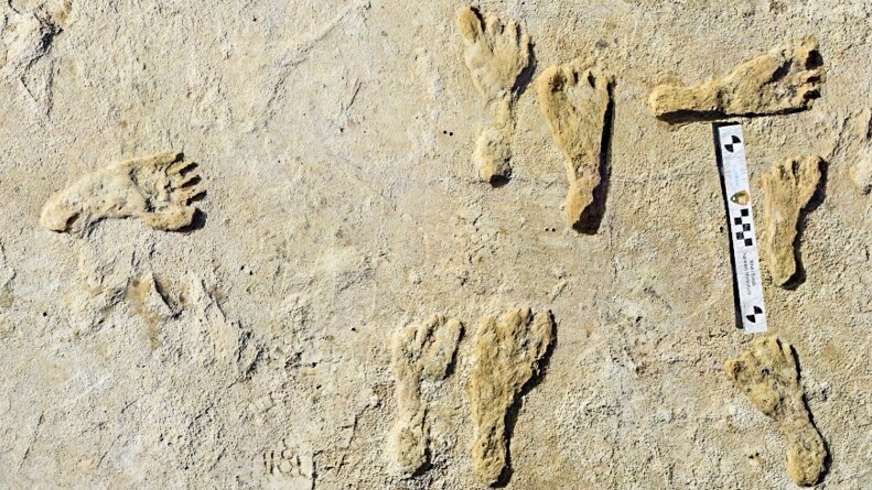 พบฟอสซิล ‘รอยเท้ามนุษย์’ เก่าแก่ 23,000 ปีในสหรัฐฯ