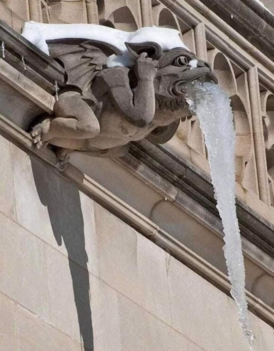 ’การ์กอยล์’