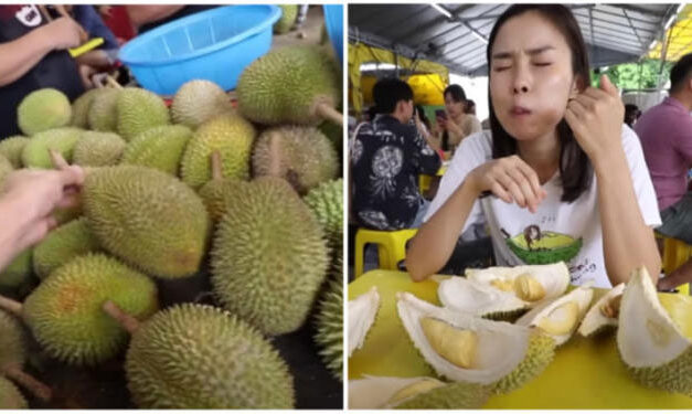 เปลี่ยนเกม? ไทยเปิดตัวพันธุ์ทุเรียนไม่เหม็น