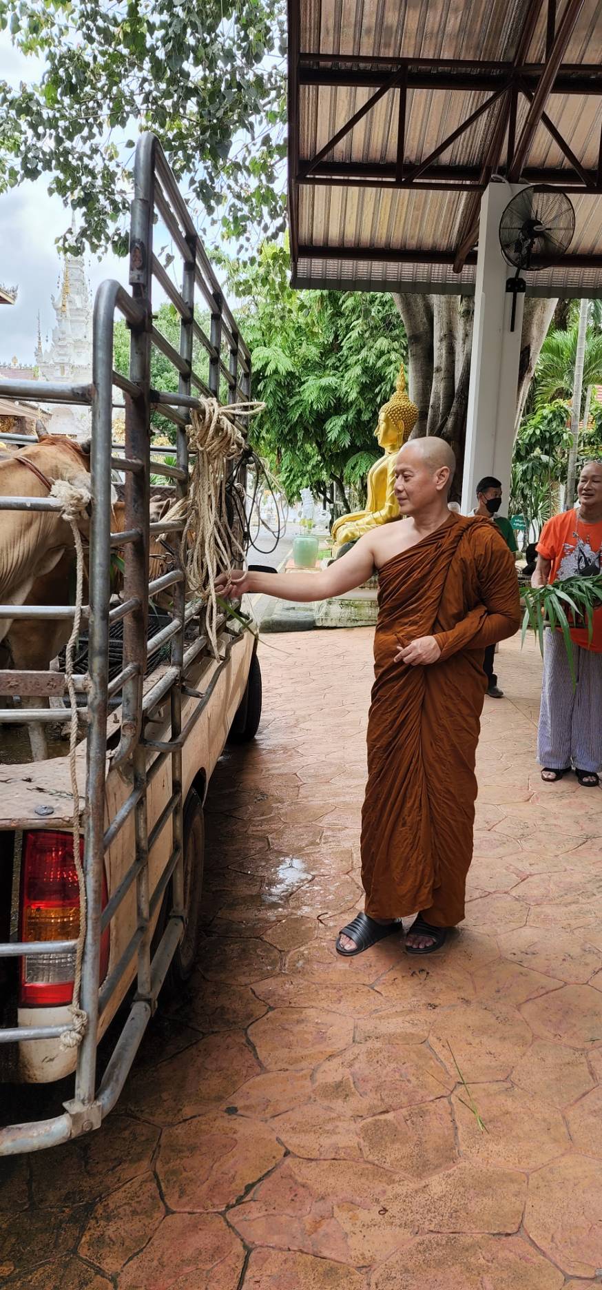 “เป๊ก สัณณ์ชัย” ฉายาทางธรรม “ปัญญาชโย” บวชครั้งที่ 5 ได้ไถ่ชีวิตโค 3 ตัว ชื่อ เงิน ทอง นาค