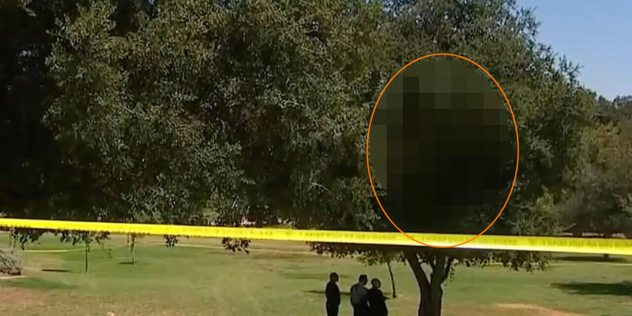 พบศพผู้หญิงถูกไฟคลอกและห้อยจากต้นไม้ใน Griffith Park