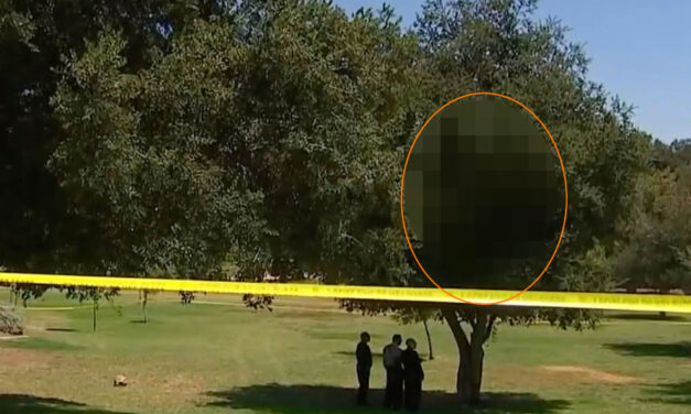 พบศพผู้หญิงถูกไฟคลอกและห้อยจากต้นไม้ใน Griffith Park